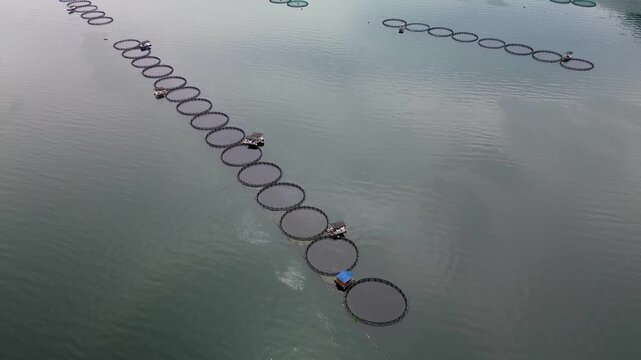 Circular aquaculture cages creating geometric patterns on a freshwater lake