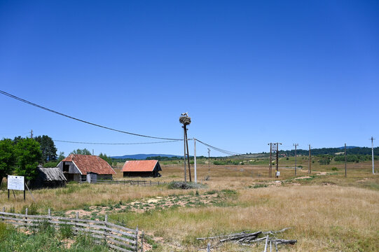 A panoramic view of a rural village featuring houses, barns, and a white stork (Ciconia ciconia) nest built on a utility pole.