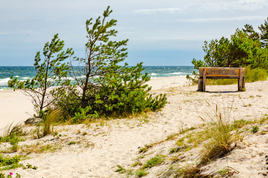 The Baltic Sea coast. A rustic wooden bench overlooking the sea. Hel, Hel Peninsula, Pomerania, Poland