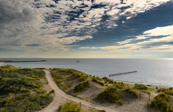 A footpath over the dunes towards the beach and see at nature reserve Marker Wadden, The Netherlands.