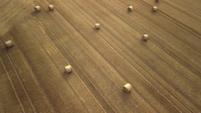 Aerial view of round straw bales arranged in neat rows across a golden field, showcasing the agricultural landscape during harvest season from a drone perspective