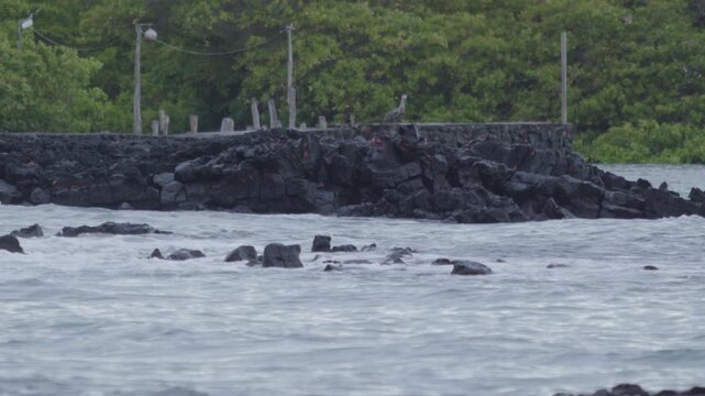 Telephoto shot of Slow motion waves hitting rocks in tortuga bay beach Galapagos