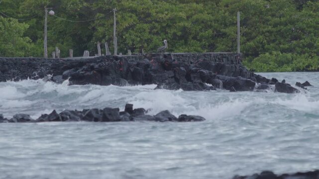 Telephoto shot of Slow motion waves hitting rocks in tortuga bay beach Galapagos