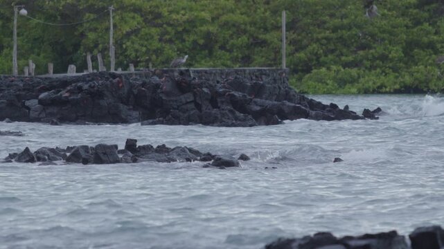 Telephoto shot of Slow motion waves hitting rocks in tortuga bay beach Galapagos