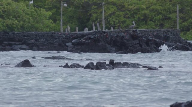 Telephoto shot of Slow motion waves hitting rocks in tortuga bay beach Galapagos