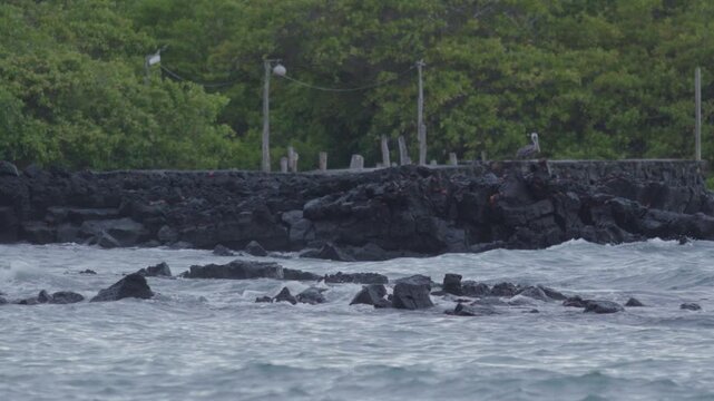 Telephoto shot of Slow motion waves hitting rocks in tortuga bay beach Galapagos