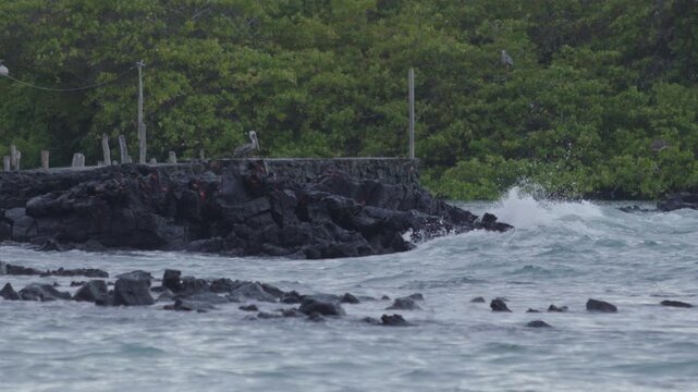 Telephoto shot of Slow motion waves hitting rocks in tortuga bay beach Galapagos