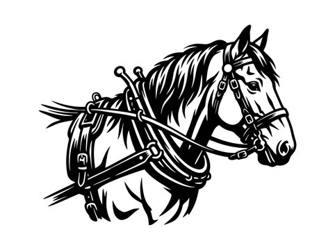 Farm Work Horse Head with Harness - Black and White Vector Line Art Illustration for Agriculture