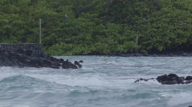 Telephoto shot of Slow motion waves hitting rocks in tortuga bay beach Galapagos