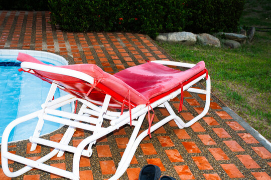Lounger Beside Swimming Pool on a Sunny Day