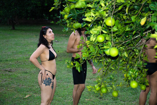 People Enjoying Time Under an Orange Tree During a Sunny Day