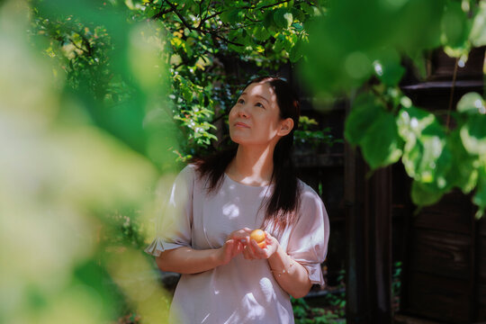 A Portrait in Light and Shadow: A Gaze under the Plum Tree Canopy.