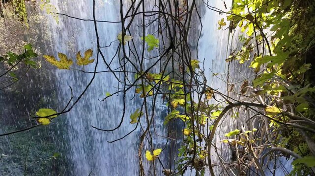 Cascading waterfall seen through bare branches and yellow autumn leaves in forest setting.