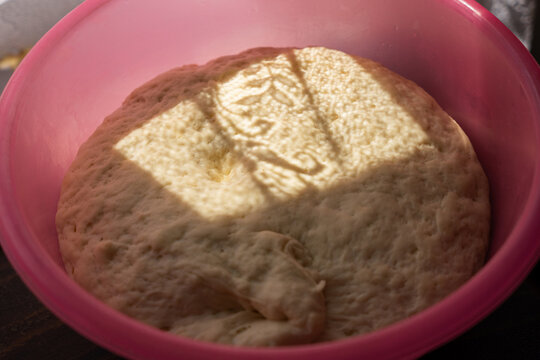 Fresh Homemade Bread Dough Rising in Mixing Bowl
