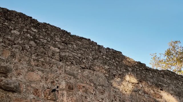 Weathered stone fortress wall rises against clear blue sky with a small tree beside it.