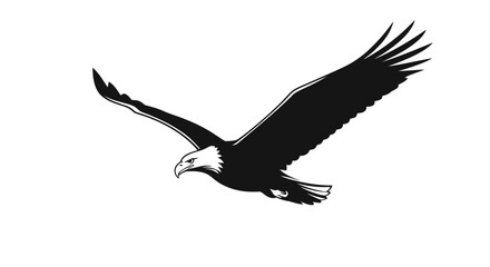 Obraz premium Bald Eagle in Flight Silhouette, Majestic Bird of Prey Soaring Against White Background