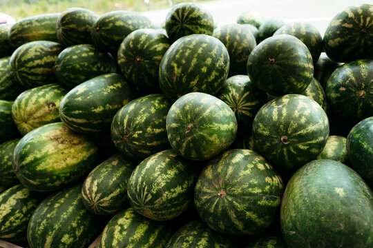 Freshly Harvested Watermelons Create a Vibrant Summer Market Scene