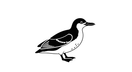Obraz premium Black and White Illustration of a Guillemot Bird on White Background