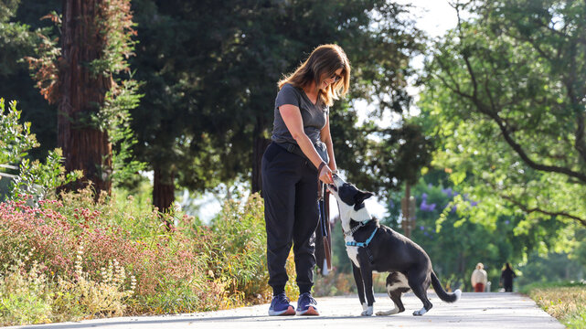 Woman Training Dog