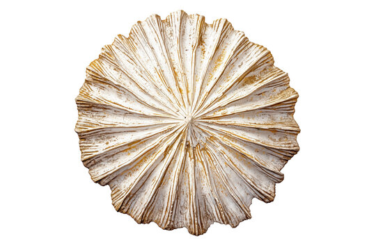 Detailed design of a decorative round object with leaf-like patterns on a white background