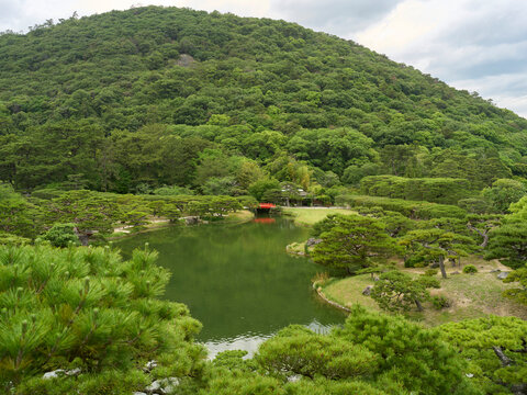 Vibrant Green Landscape of a Japanese Garden