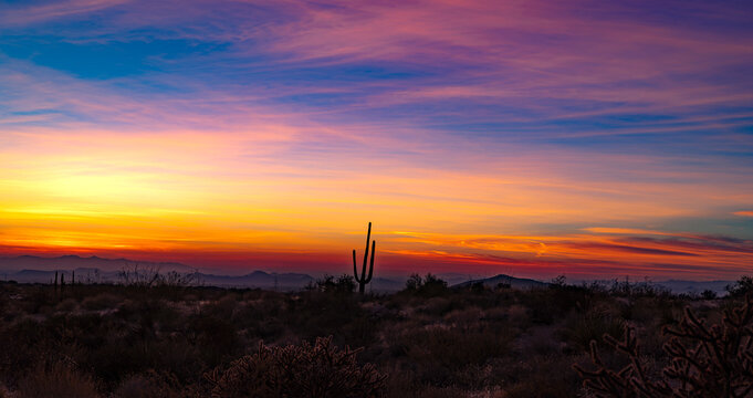 Vibrant Wide Ratio Sunset Landscape With Lone Saguaro Cacti In AZ