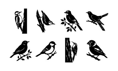Fototapeta premium Set of black and white silhouettes of various small forest birds