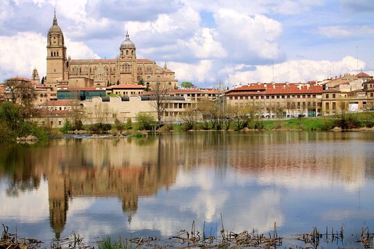 Panoramic view of the New Cathedral of Salamanca from the bank of the Tormes River.