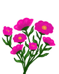 Fototapeta premium Pretty Pink Floral Art