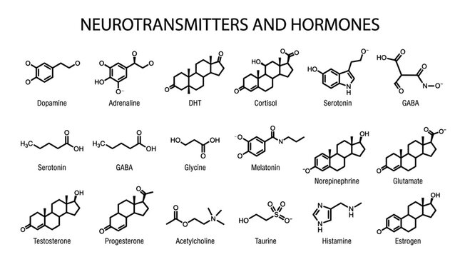 Detailed chemical structure diagram of various essential human neurotransmitters and hormones in flat black ink