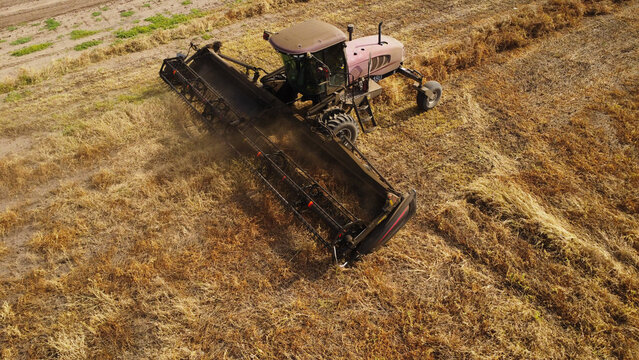 An aerial drone photograph capturing a self-propelled windrower swather operating across a vast, golden agricultural field