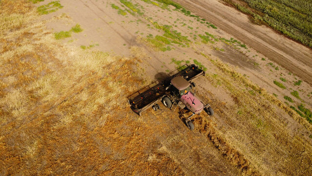 An aerial drone photograph capturing a self-propelled windrower swather operating across a vast, golden agricultural field