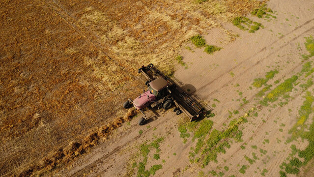 An aerial drone photograph capturing a self-propelled windrower swather operating across a vast, golden agricultural field