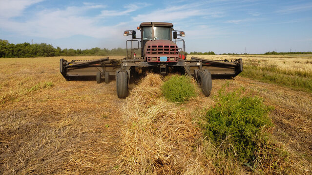 A eye-level photograph capturing a self-propelled windrower swather moving across a harvested field, forming neat windrows of dry crop fodder.