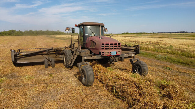 A eye-level photograph capturing a self-propelled windrower swather moving across a harvested field, forming neat windrows of dry crop fodder.