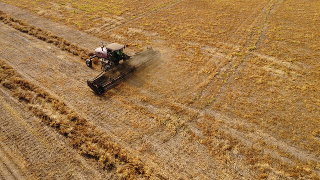An aerial drone photograph capturing a self-propelled windrower swather operating across a vast, golden agricultural field