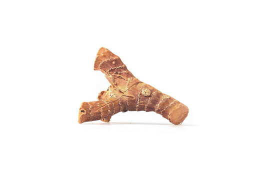 Fresh Galangal Root Spice Ingredient from Yunnan China Isolated on White Background