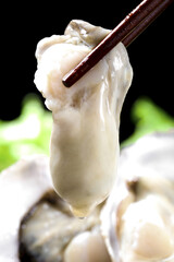 Fresh Raw Oyster with Chopsticks - Premium Seafood Studio Shot © DangThi