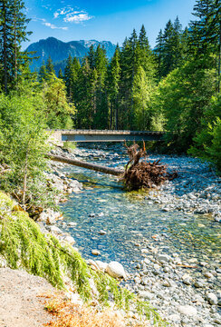 Middle Fork Bridge 3