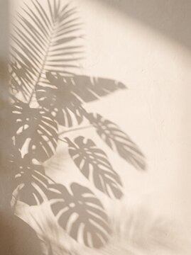 Shadows of tropical palm and monstera leaves on a beige wall, aesthetic minimal nature background