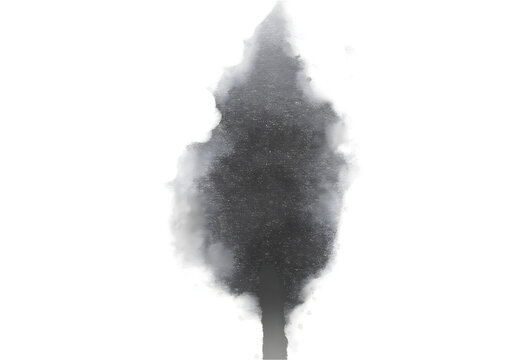 Minimalist black ink wash tree, abstract sumi-e style plant silhouette, monochrome watercolor tree on white background