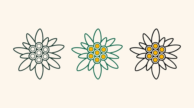 Edelweiss flower vector icons set with minimalist floral outlines for alpine nature branding and mountain themed design