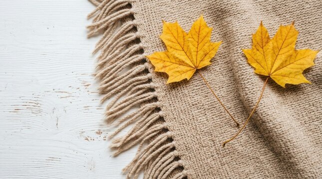 Thanksgiving Day Cozy autumn leaves on a beige knitted blanket with fringes