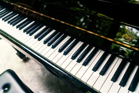 Elegant Black and White Piano Keyboard