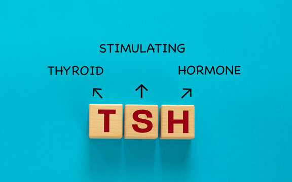 TSH abbreviation on wooden cubes. Thyroid health check, endocrinology and hypothyroidism medical concept