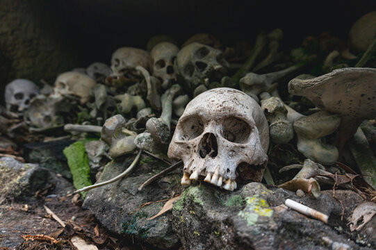 Human skulls and skeletal remains preserved inside the ancient stone burial site of Bori Parinding in North Toraja Indonesia