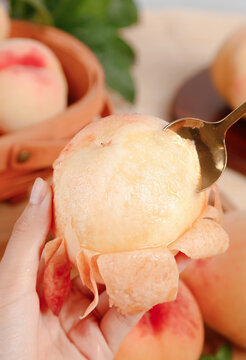 Freshly Picked Yangshan Peach Being Peeled with Spoon Showing Sweet White Flesh