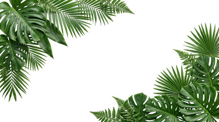 Fototapeta premium Tropical Monstera and Fern Leaf Corner Border Frame Isolated on White Background