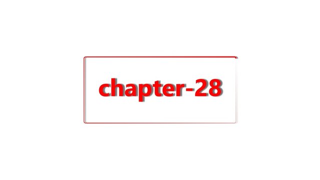 Red text reading chapter-28 centered inside a rectangular frame with a thin red border on a plain white background, for book indexing