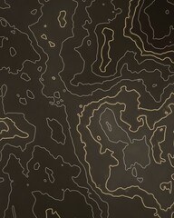 Topographic Map Contour Lines © rega